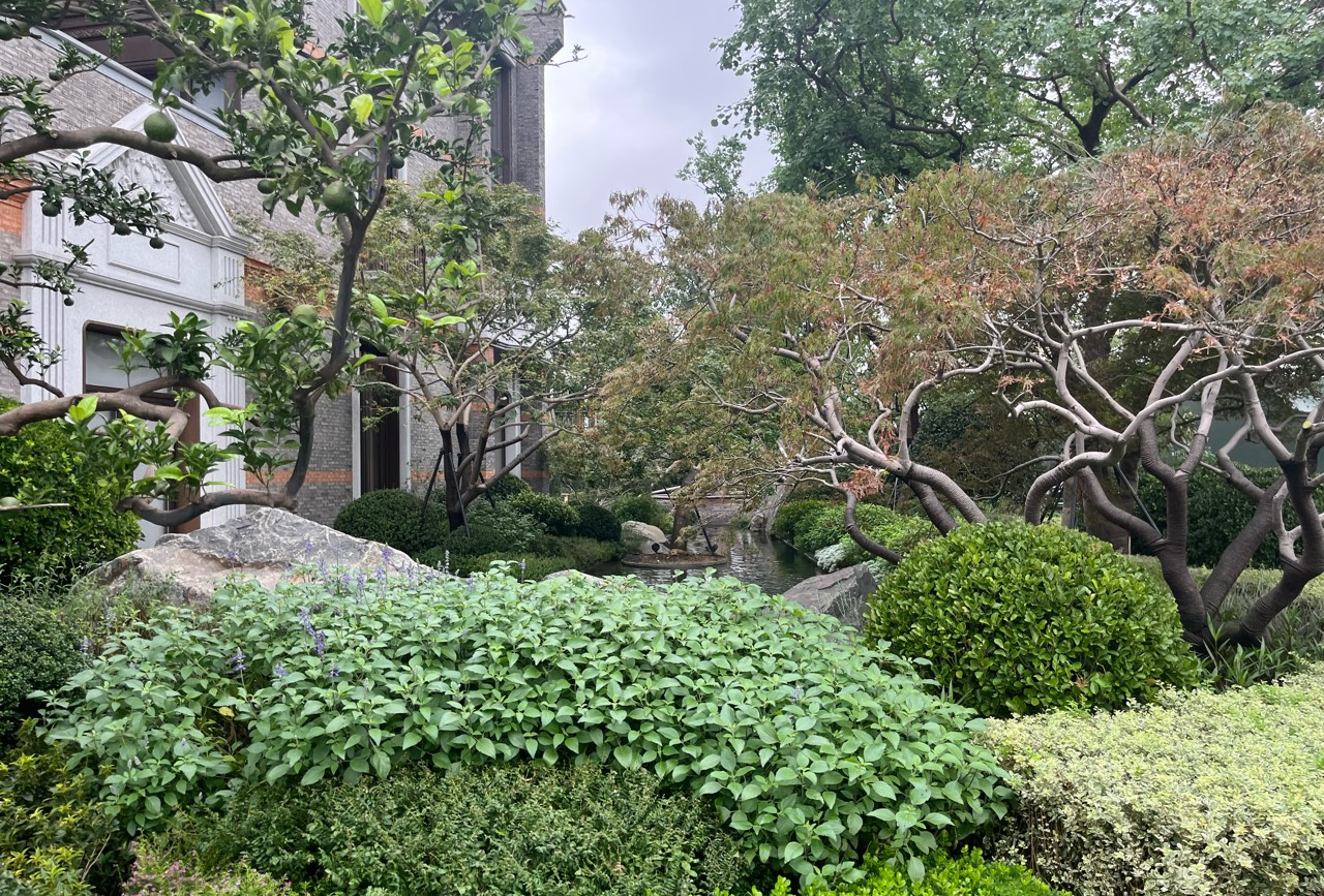 阳澄湖桐乡二日游