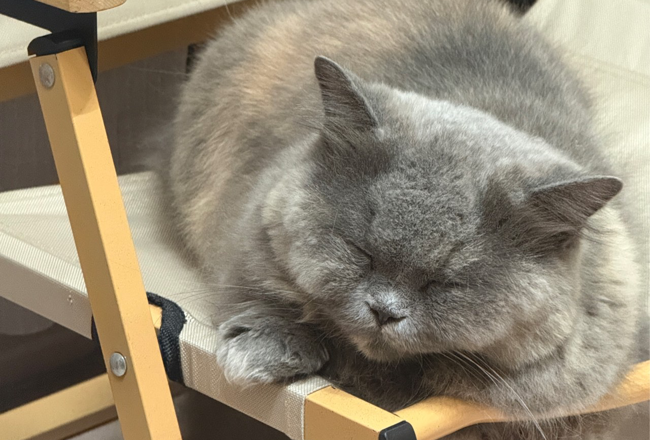 紫巨人茂名·回归自然