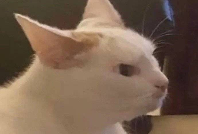 东北三人行