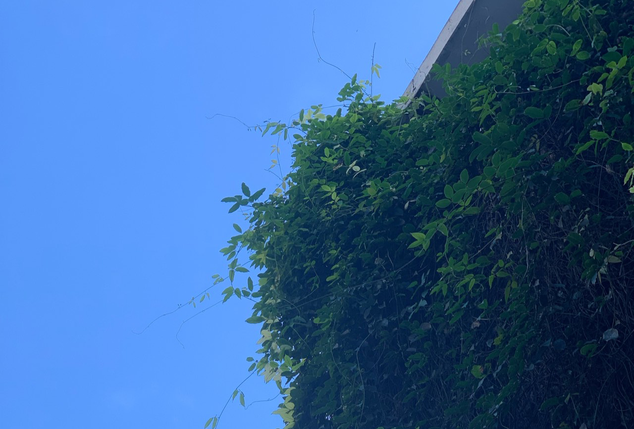 澳大利亞悉尼聖靈群島墨爾本10天
