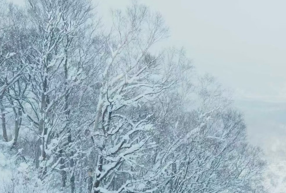 北海道