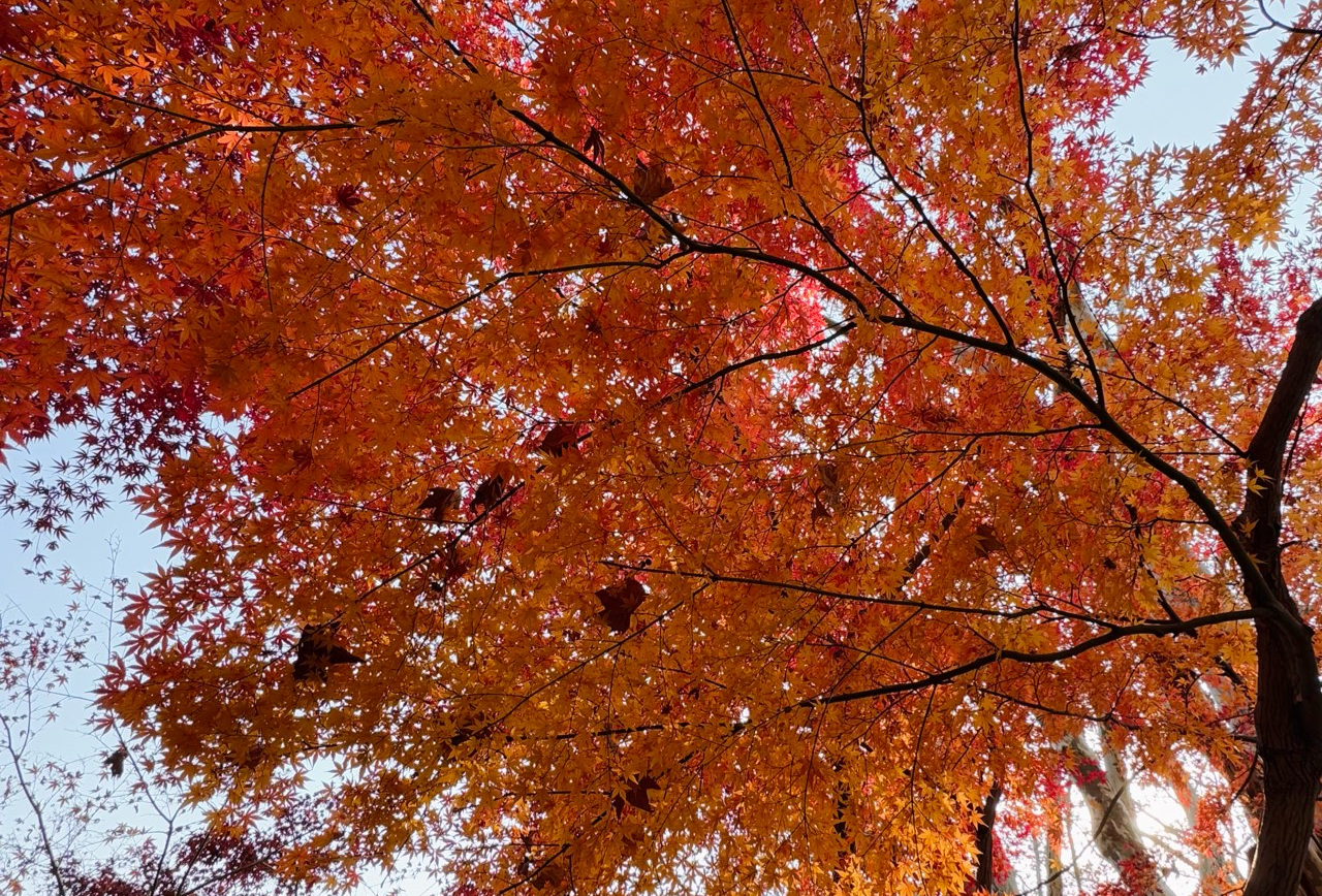 上海演唱会PLAN 2026年1月10日