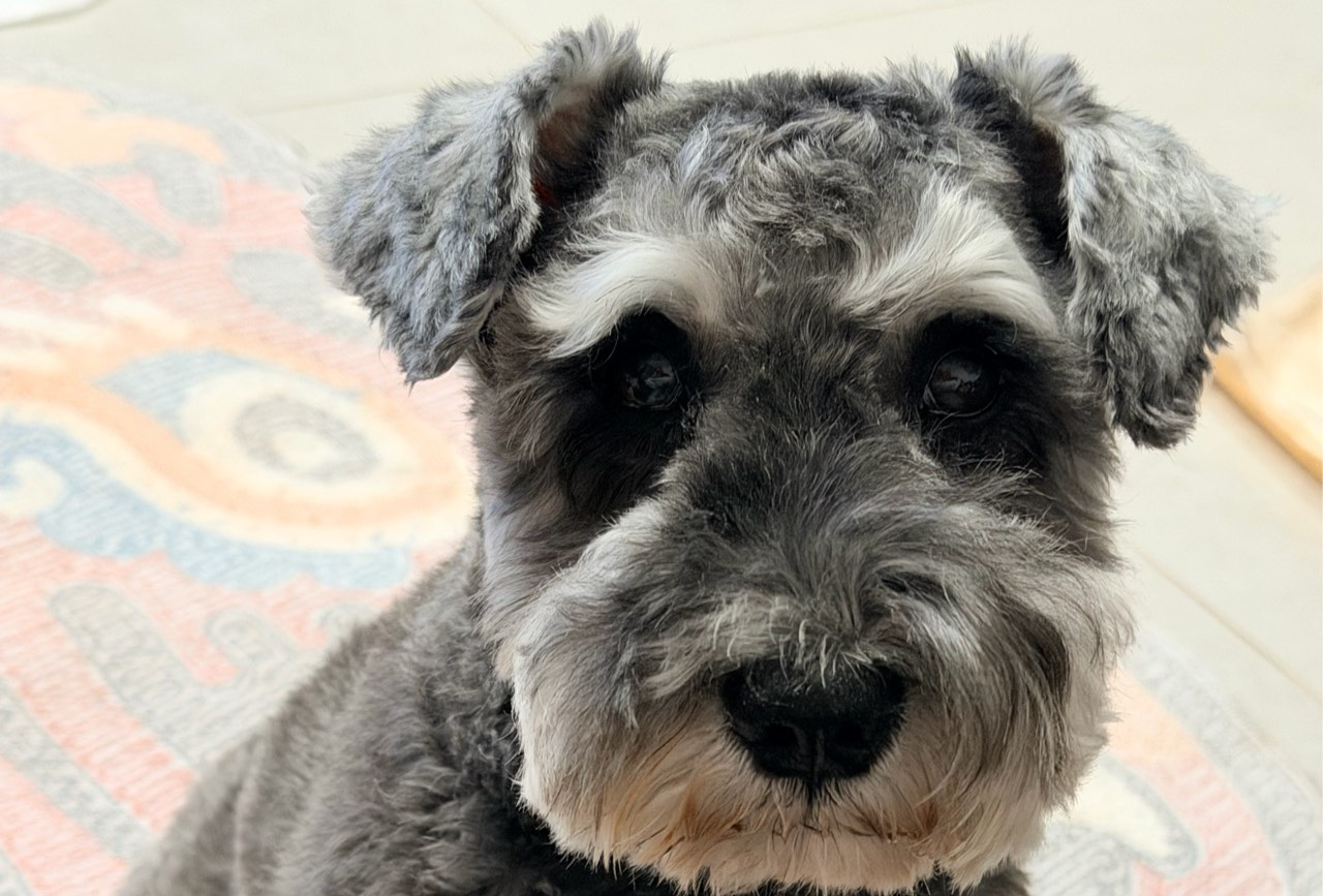 沈阳特种兵3日游