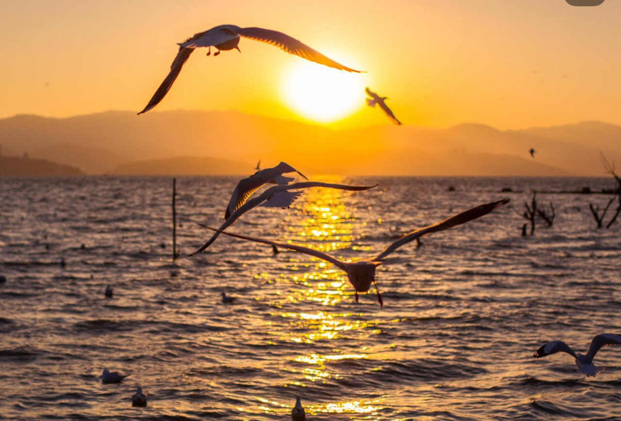 丽江香格里拉大理昆明贵阳8日游