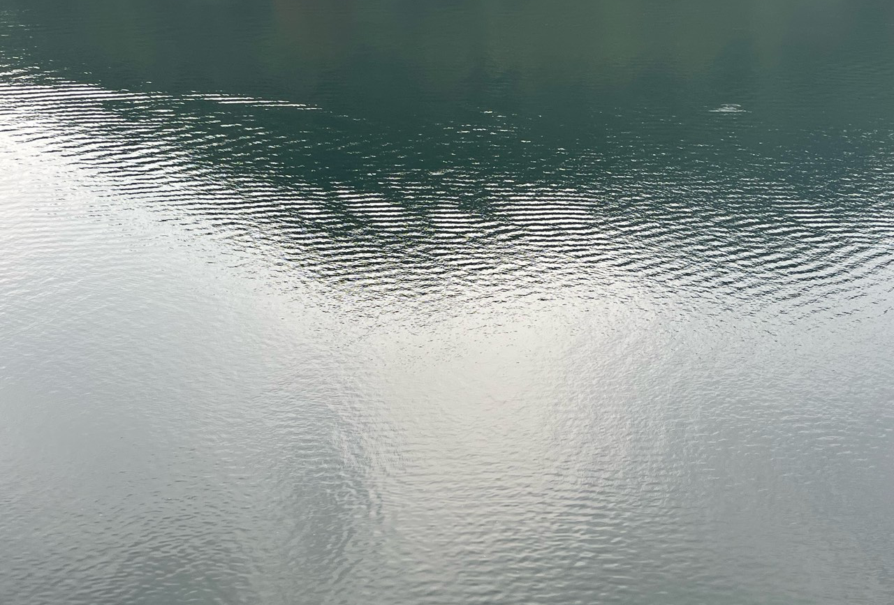 寿县的银杏黄了吗