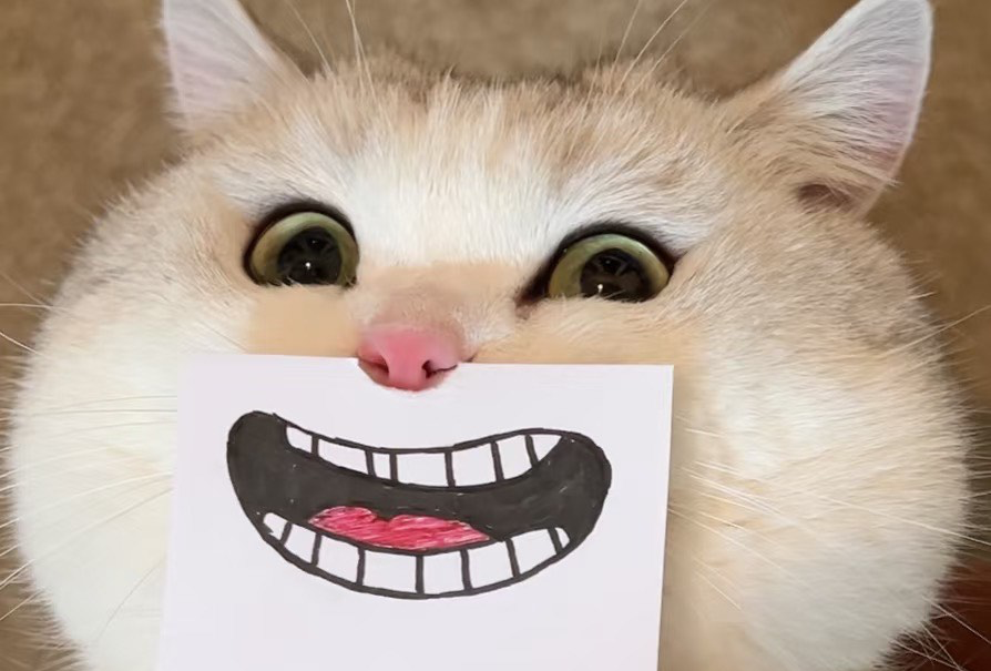 佛山顺德三日游