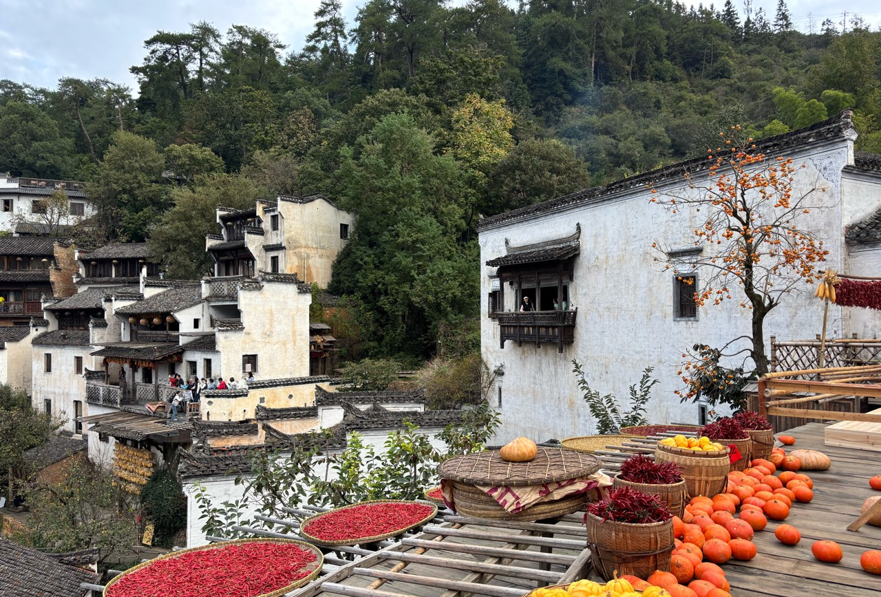 江西婺源&鹜女洲&景德镇