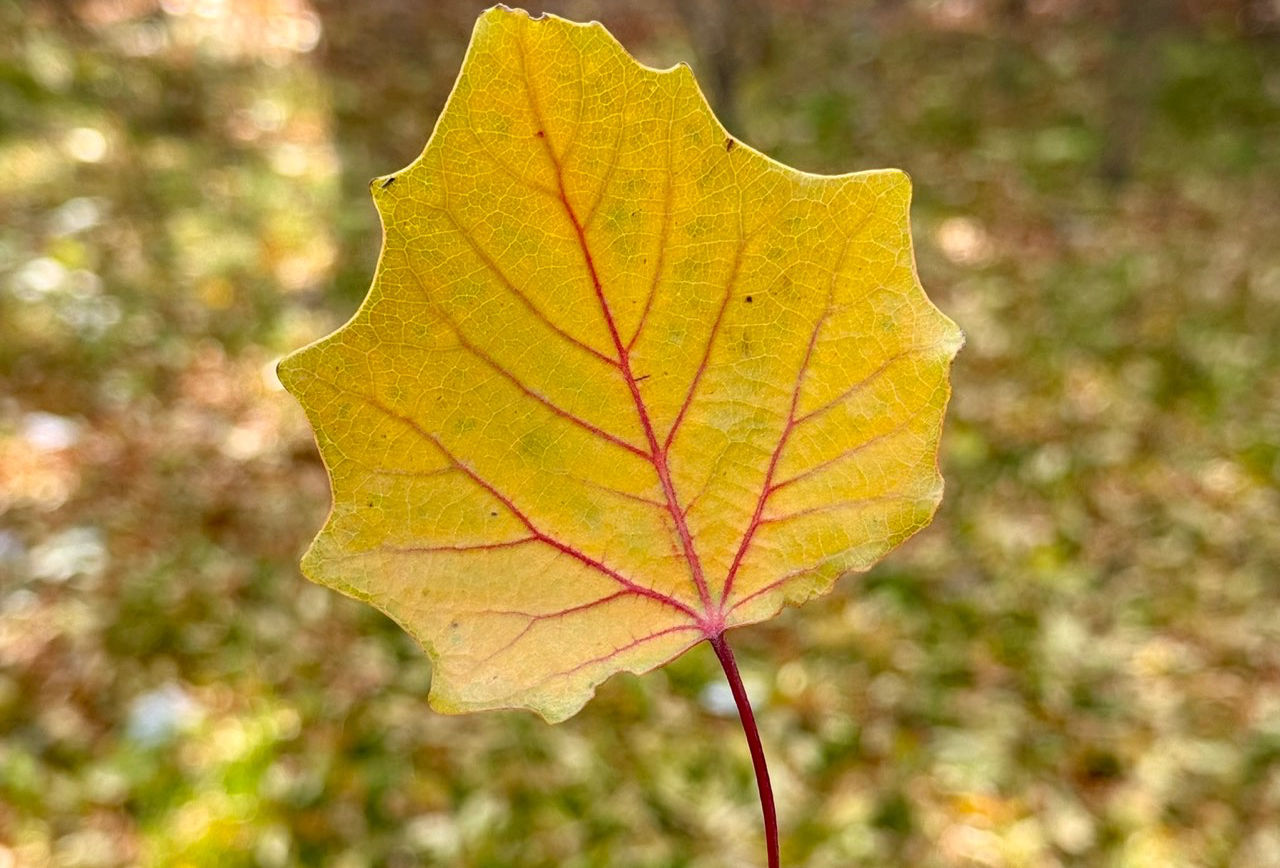 银川好玩好吃攻略