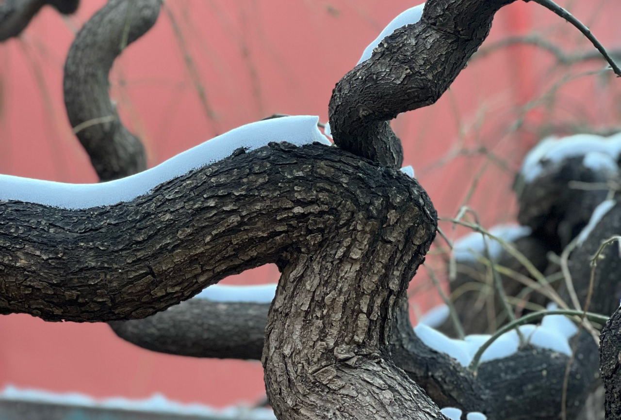 飞狐陉 保定涞源—张家口蔚县