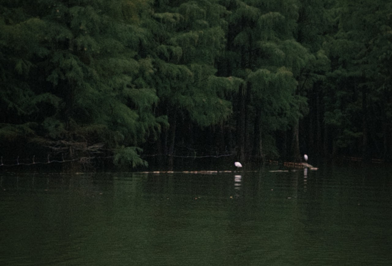 安吉跨年 2天1夜