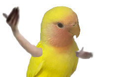 铜仁两人两日go