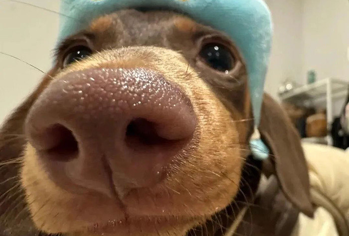 广西崇左四日游