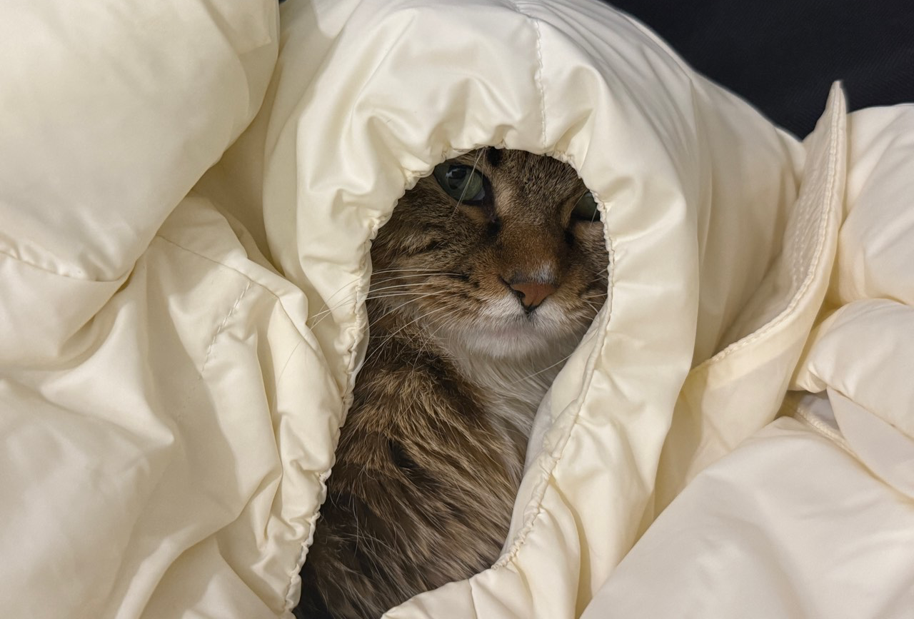 胡志明旅游攻略