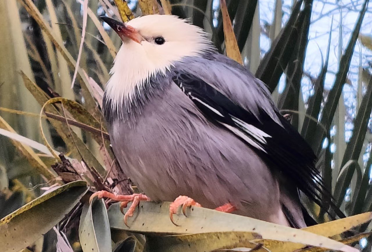 西双版纳三日游