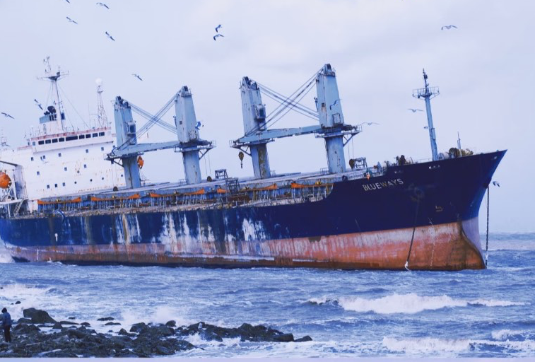 连云港 青岛 威海