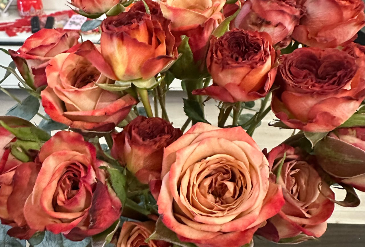 春节武汉自驾潮汕