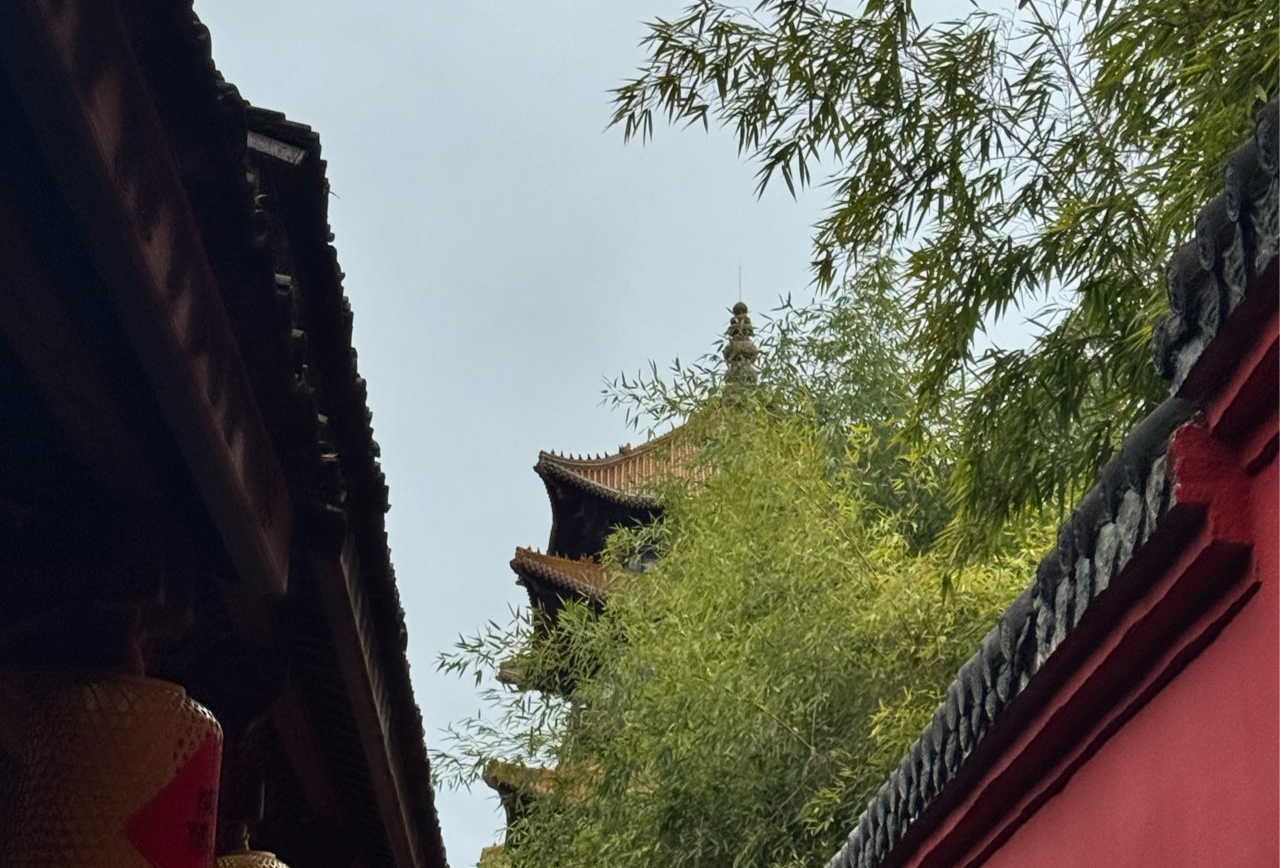 曲靖考察