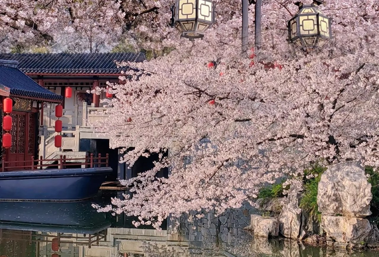 武汉三日游 慢节奏版