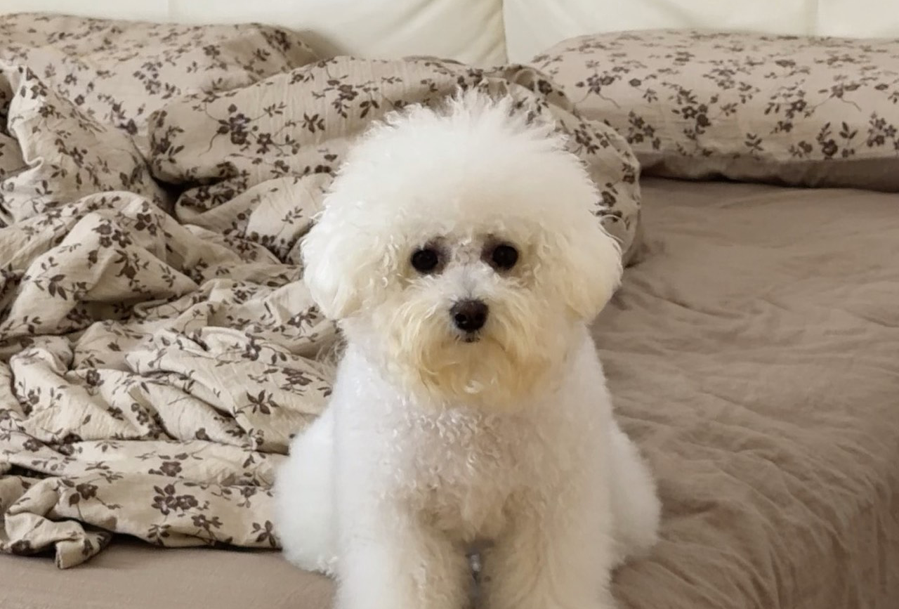 汕头-南澳岛 3天两夜旅行