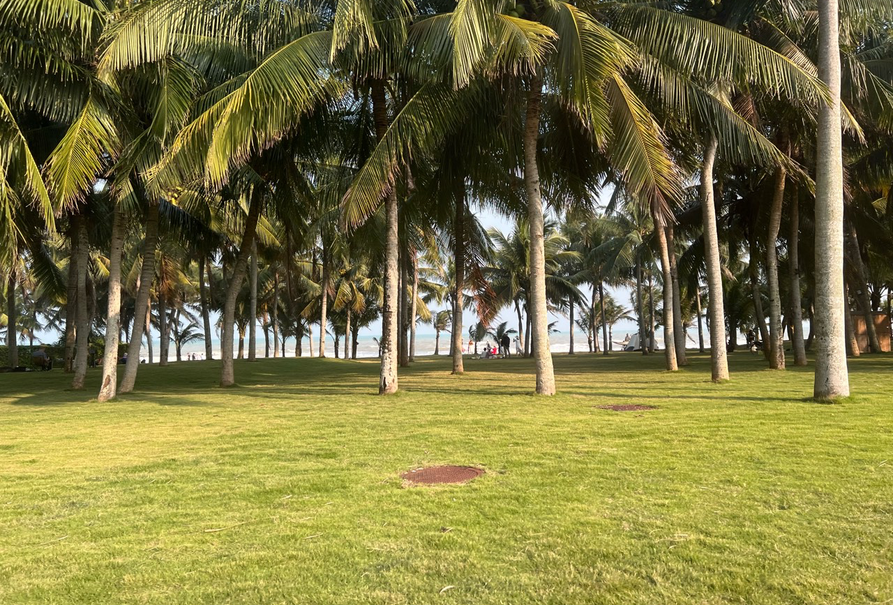 文昌吃喝玩乐地图