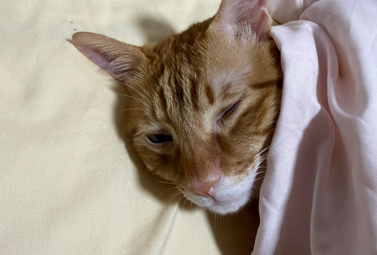 东山岛一天一夜游