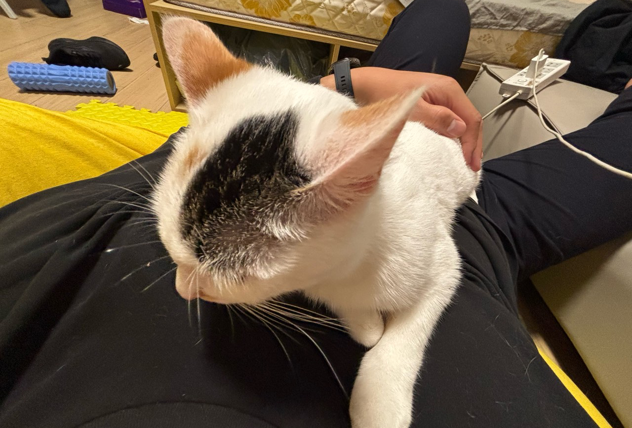 运城临汾三日游