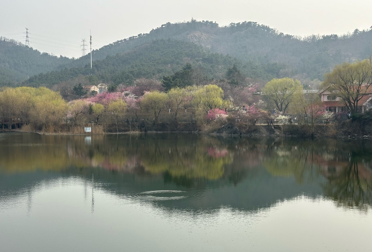 潍坊