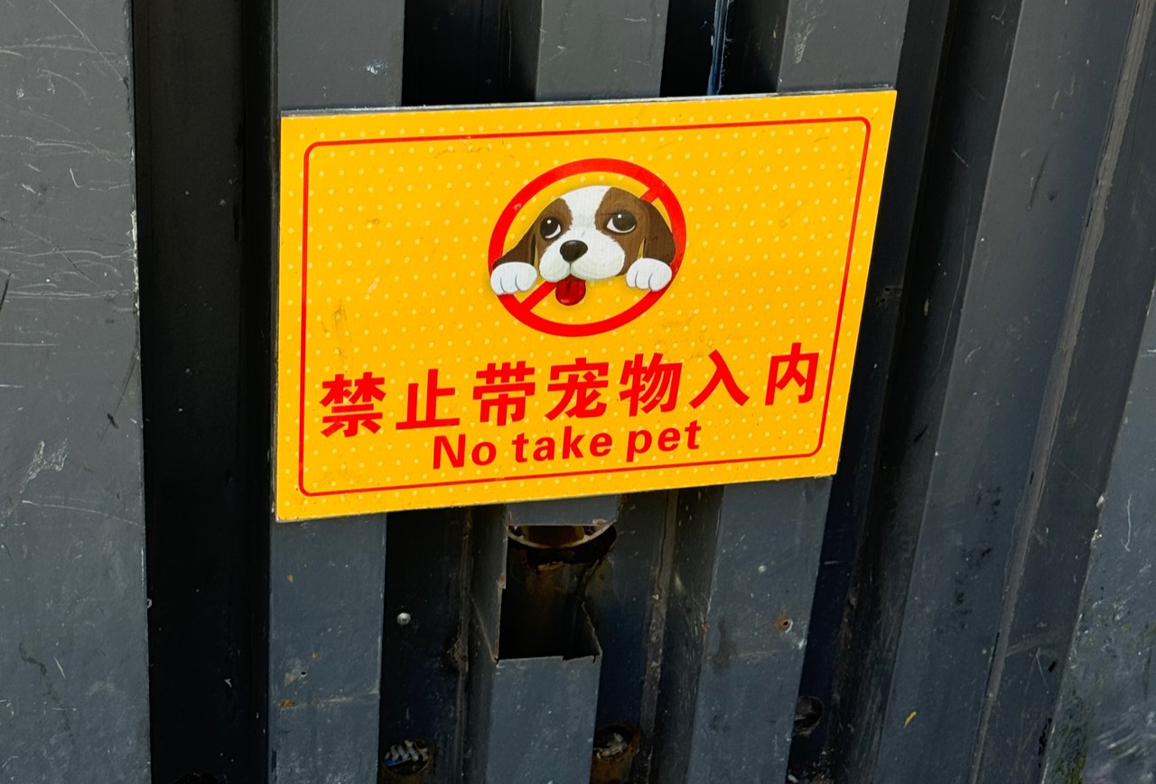 新马