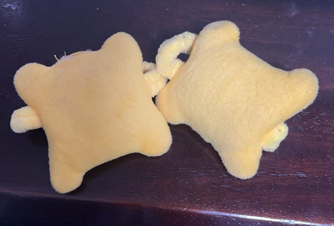 汉中洋县油菜花