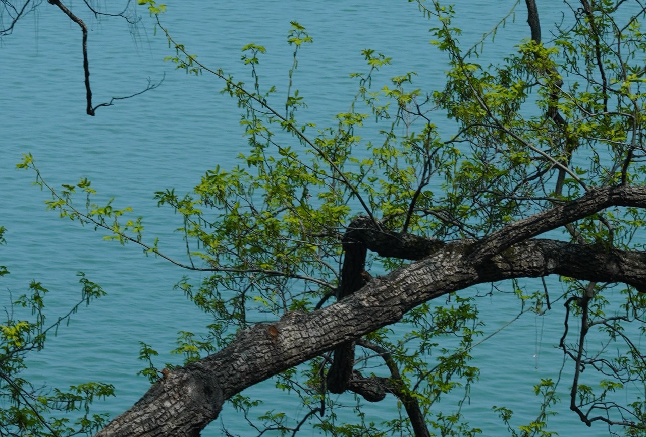 九江景德镇 婺源 黄山 杭州