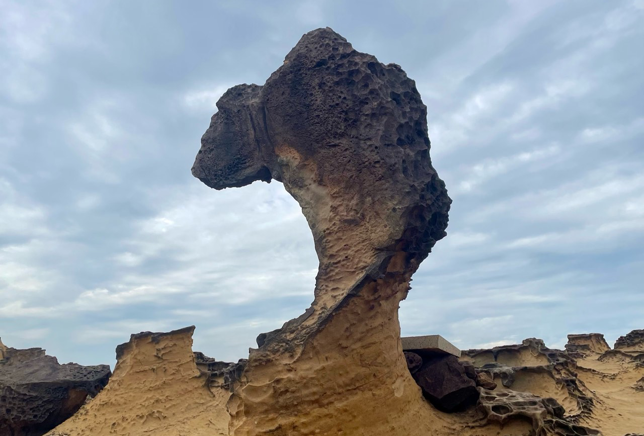 台湾（台北+阿里山）