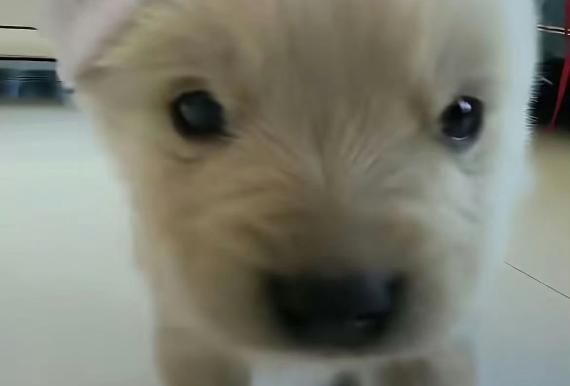 20260405泰州两天一夜