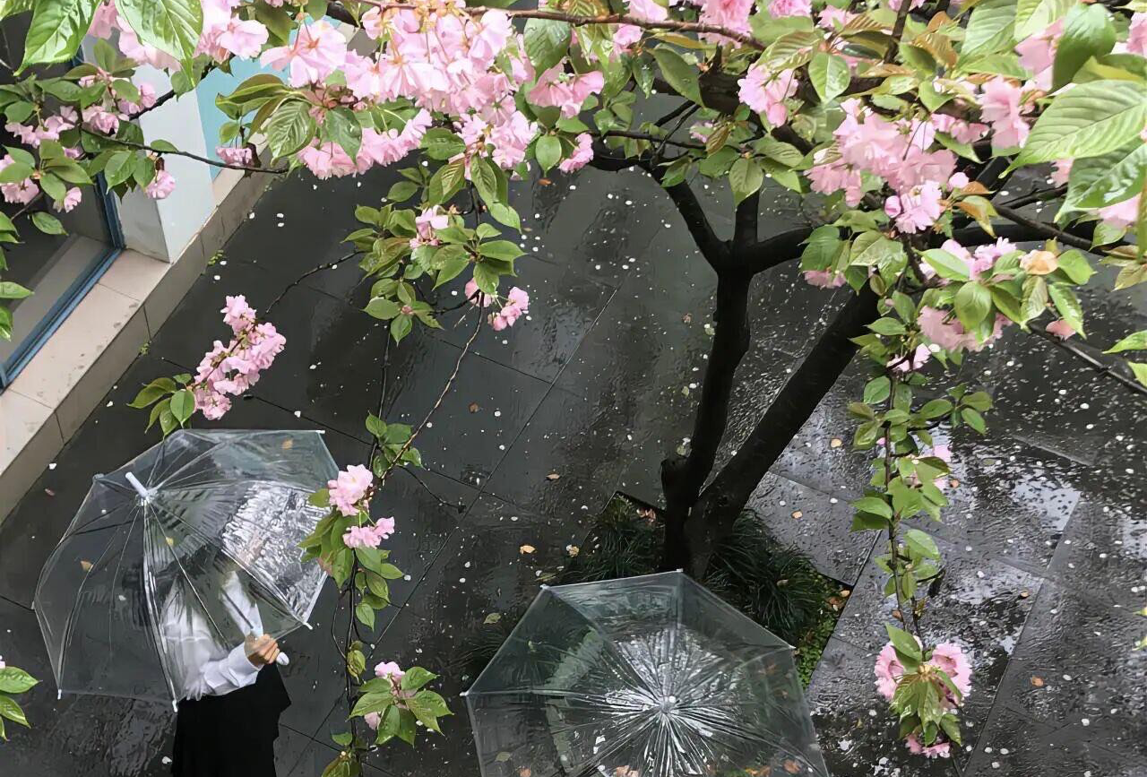 浙江