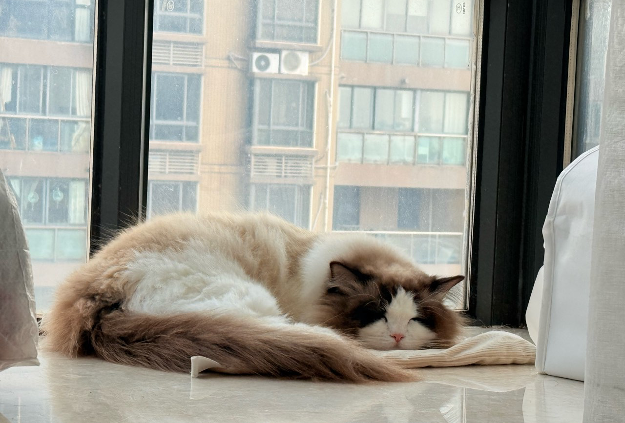 慕尼黑