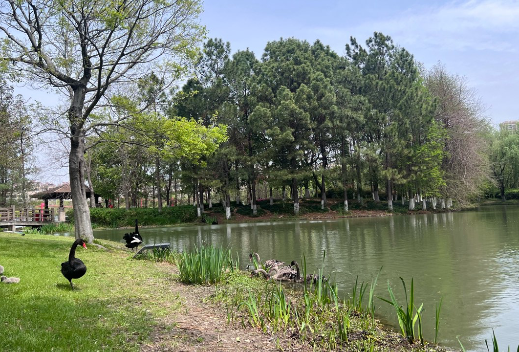 出行计划