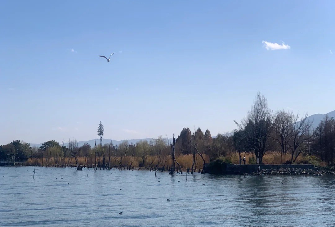 肉酱意面之腾冲芒市行