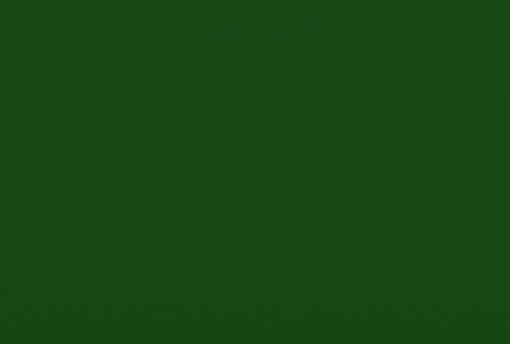 景德镇继续狗狗狗