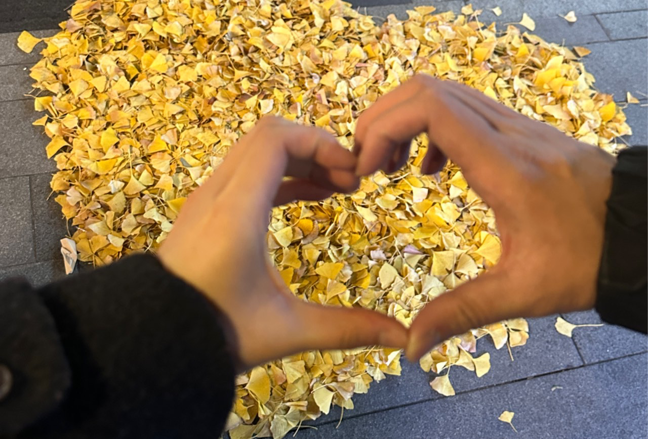 和宝宝的南京之游