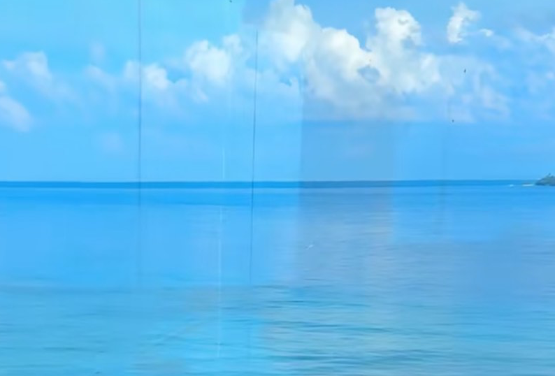新西兰