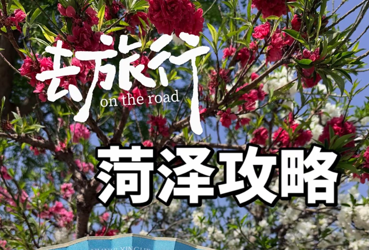 菏泽