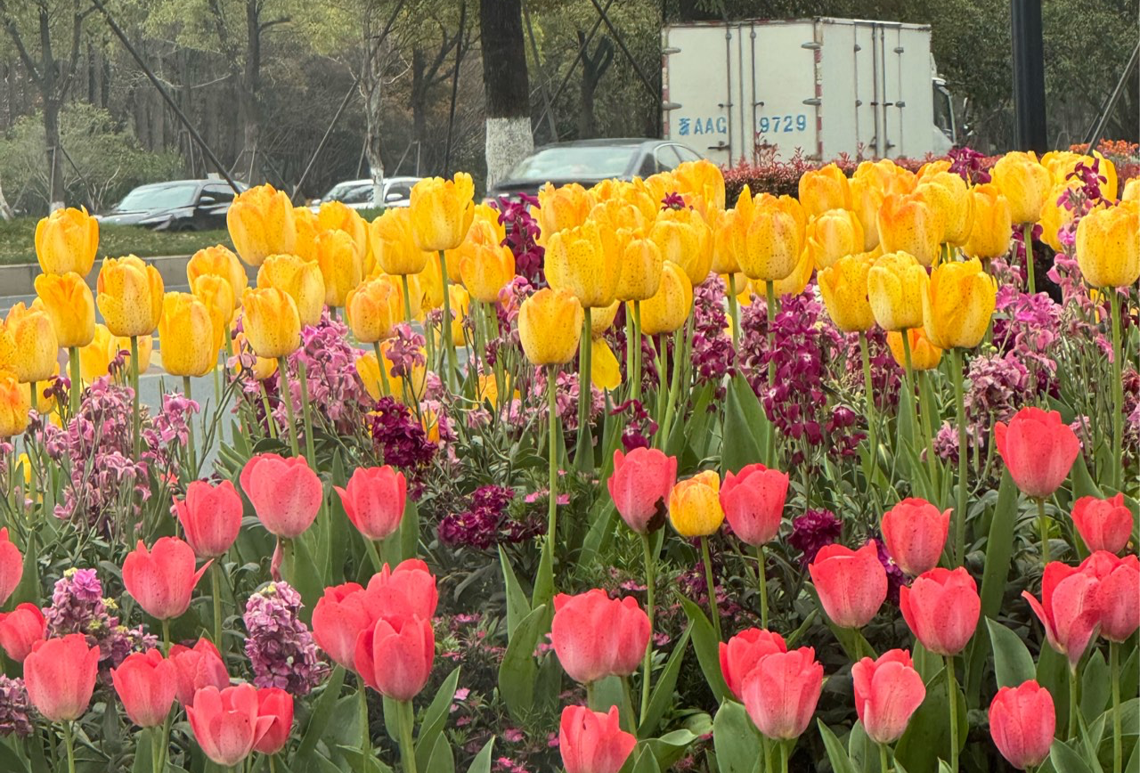 宣城吃吃喝喝逛逛