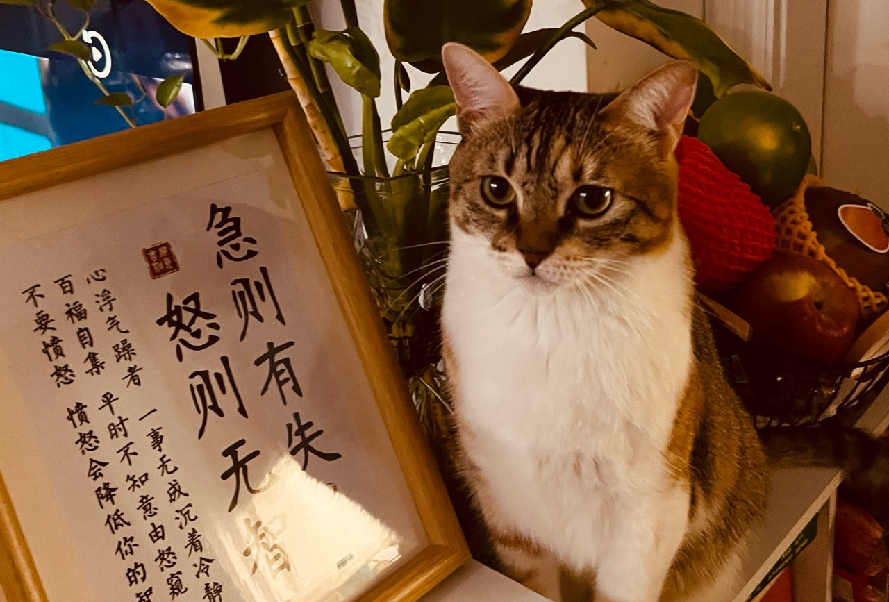 太仓