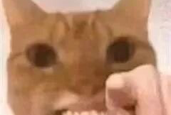 惠州
