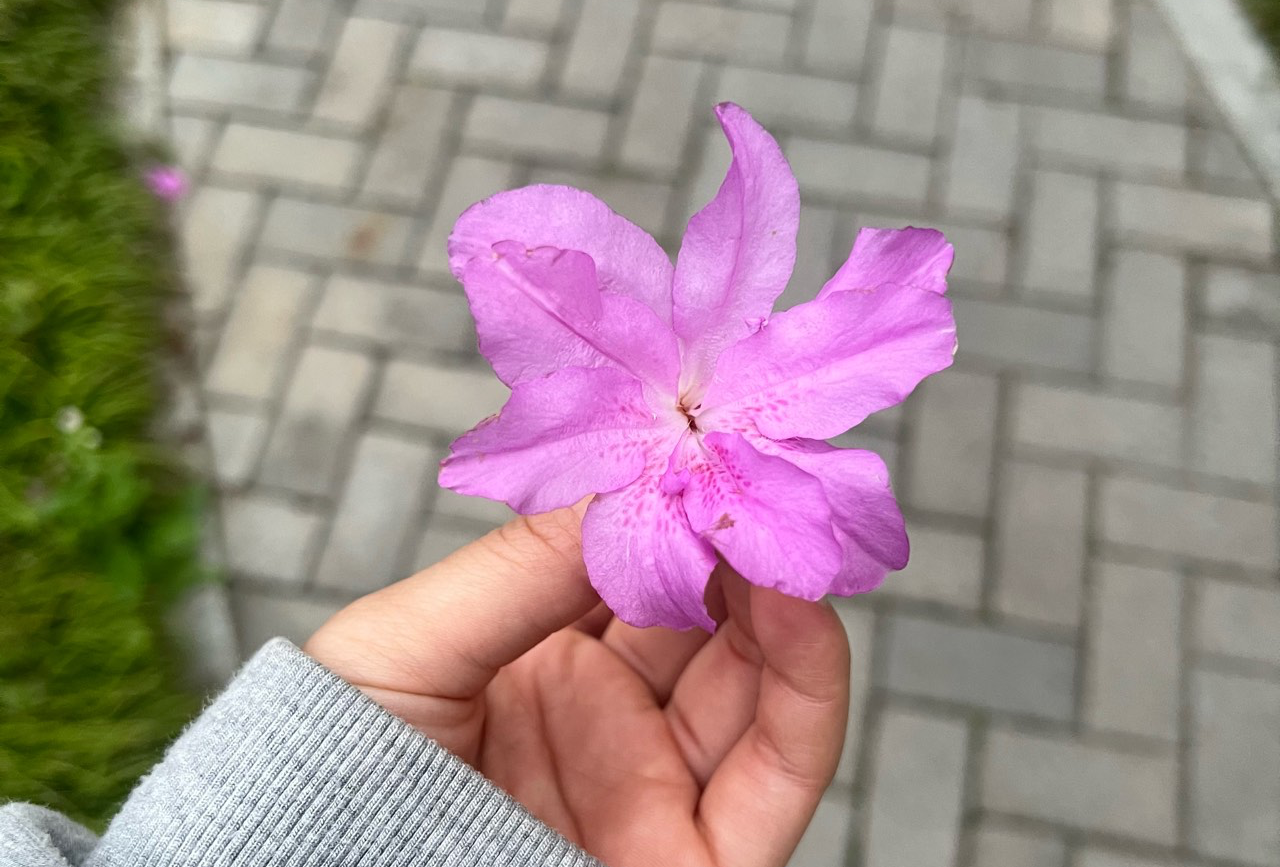 建德