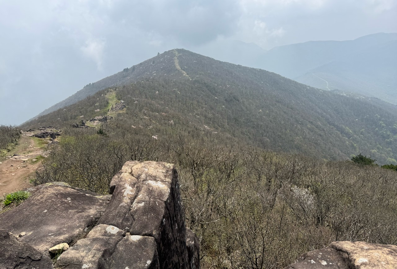 武夷山