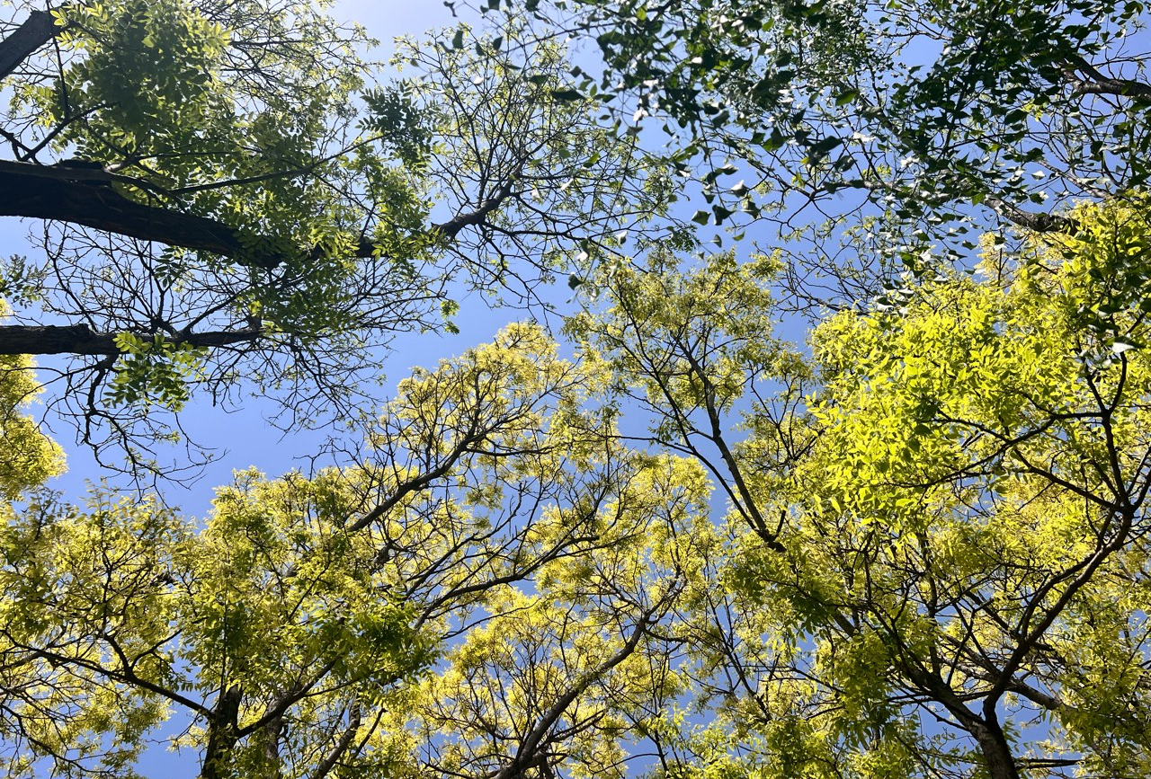 太原美食，早餐红色，正餐白色，小吃蓝色