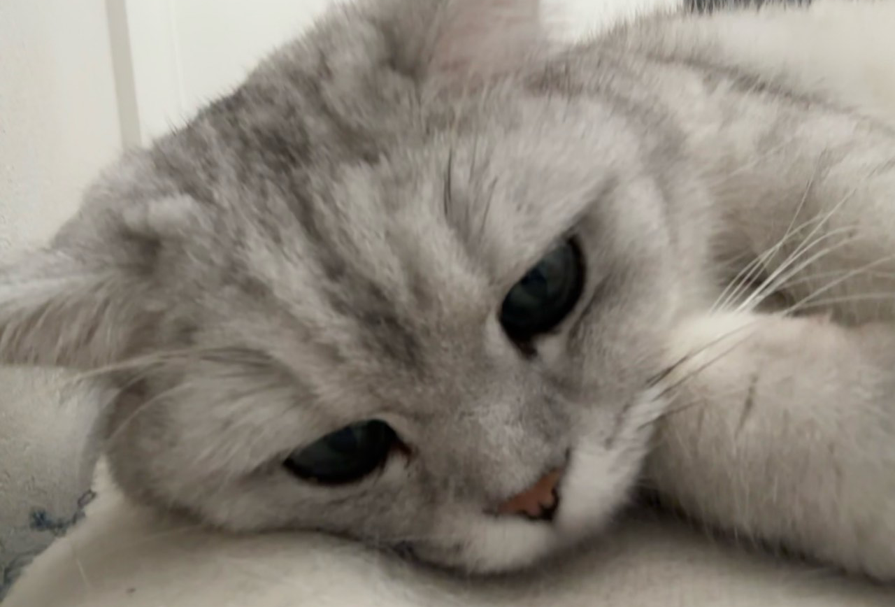 123