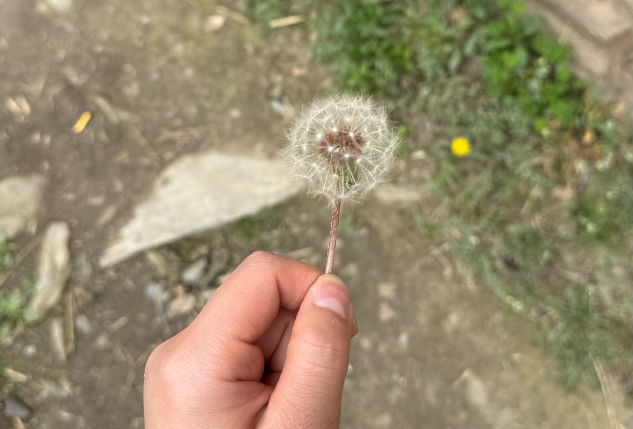 南昌