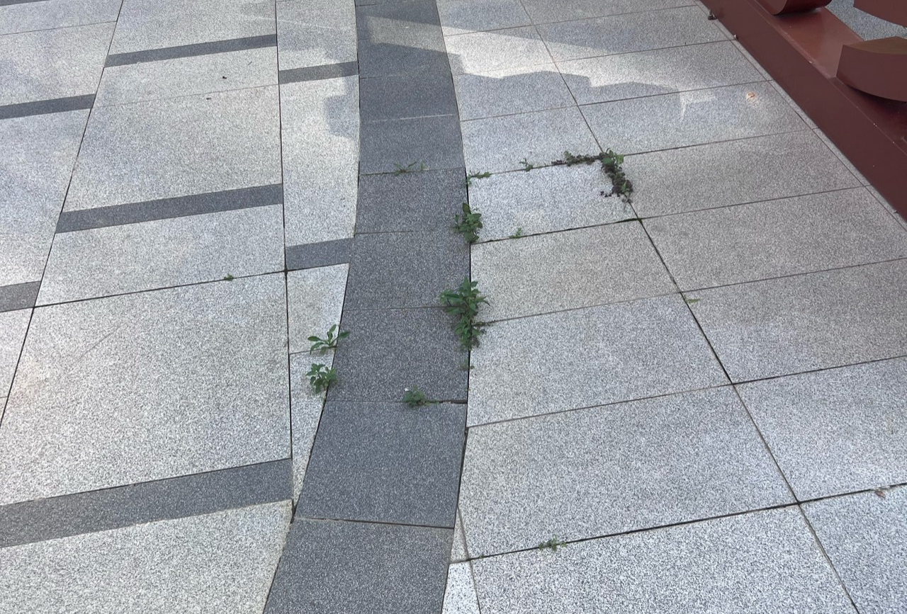 江西吉安