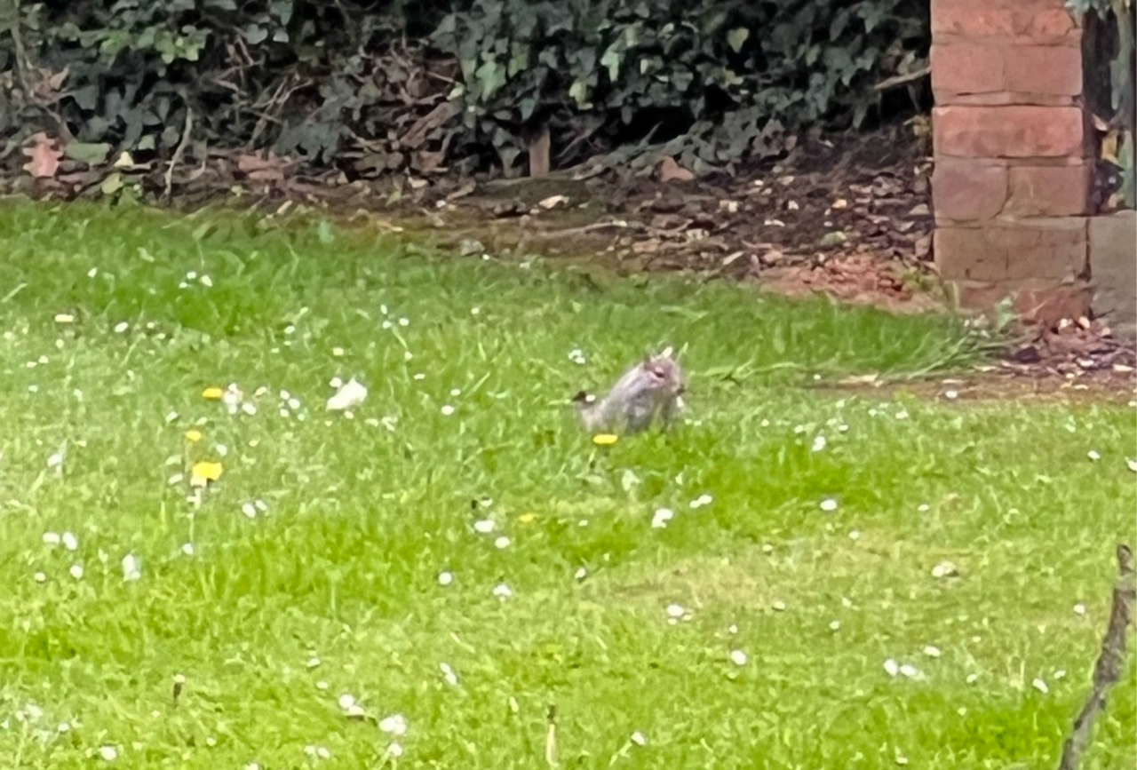 英国伦敦